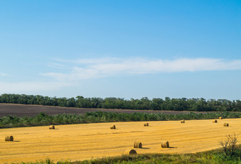 Fototapeta na wymiar hay in the hot summer