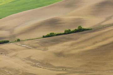 Cultivated field from above. Aerial view of meadows and cultivat