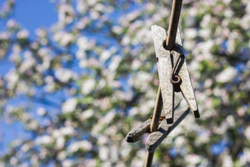 old clothespin