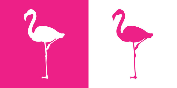 Icono plano flamingo con color rosa