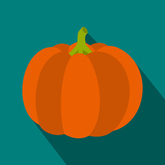 Pumpkin icon in flat style