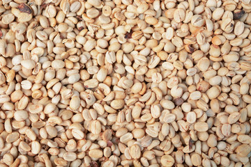 white coffee beans background