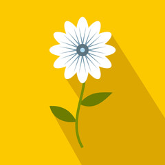 White flower icon, flat style 