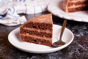 Piece of chocolate cake