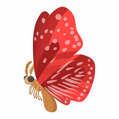 Red butterfly icon, cartoon style