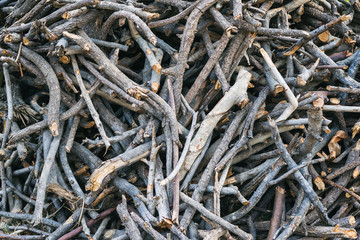 Firewood and brushwood