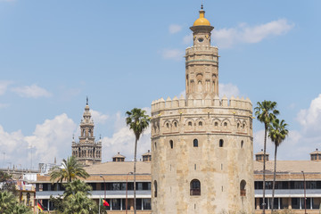 Fototapeta na wymiar Torre del Oro, Sevilla, Guadalquivir river, Tower of gold, Sevil