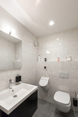 Modern house interior, bathroom