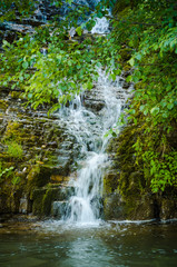 Plakat Mountain stream in summer