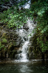 Fototapeta na wymiar Mountain stream in summer