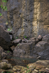 Large cliff face on the way to Purlingbrook falls in Springbrook National Park, Queensland.