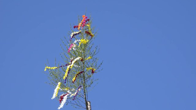Maibaum vor blauem Himmel