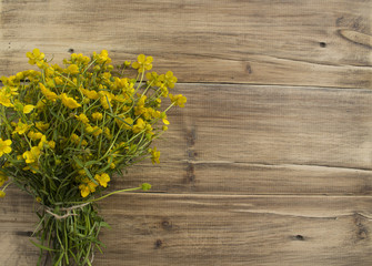 bouquet of Buttercup flowers