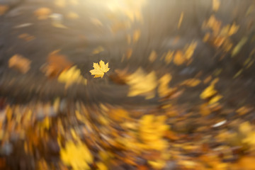 Falling leaves background with radial vortex blur effect