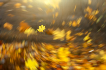Falling leaves background with radial vortex blur effect. Freeze