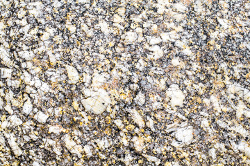 High resolution wet granite texture