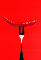 Chili pepper i on fork on red background. Healthy eating concept.

