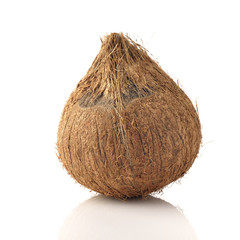 Coconut Fruit / High resolution image of coconut fruit shot in studio on white background