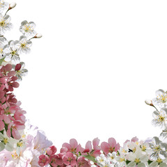Postcard, collage of spring flowers on a white background