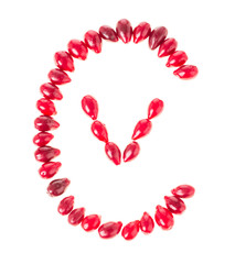 Dogwood berries in form of letter C and V as a vitamin C.