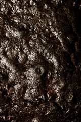 Texture of nut cake for edible background. Decor of sugar strand