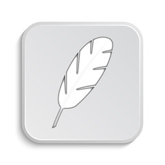 Feather icon