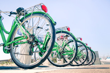 Green bicycles in a row close up perspective -  Sharing bikes lined up outdoors - Concept of alternative transportation for the protection and respect of the environment