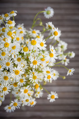 Chamomile flowers on a wooden background. Fresh summer wild  flowers on the wooden table.