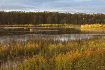  Small reservoir, the lake in the summer in the twilight of day. Небольшой водоём, озеро летом на закате дня.