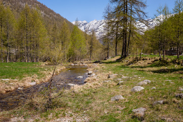 Obraz premium Paesaggio, montagna, Parco nazionale del Gran Paradiso, Piemonte, Italia
