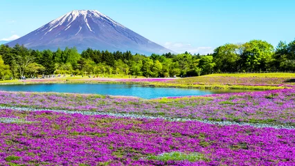 Cercles muraux Mont Fuji Fuji avec le champ de mousse rose au festival Shibazakura, Yamana