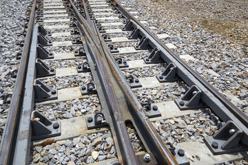 Fototapeta premium Railroad tracks crossing