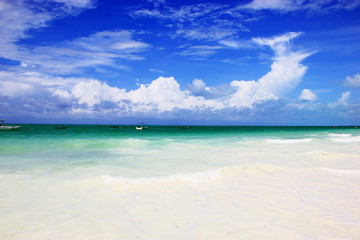 Fototapeta na wymiar Tropical island. Zanzibar beach Paje.