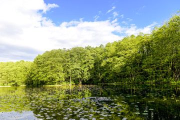 Großer Lienewitzsee bei Michendorf