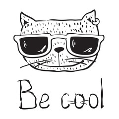 Hand drawn portrait avatar of Cool Cat with sunglasses. Vector isolated elements. Be cool.