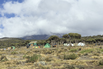 Obraz na płótnie Canvas camp in the mount kilimanjaro