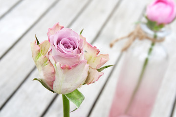 Pastel rose on a wooden table