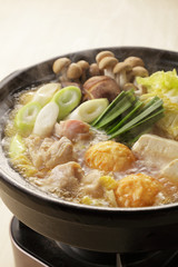 ちゃんこ鍋　Japanese hot pot