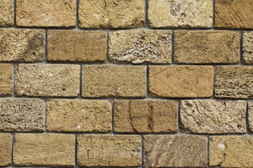 Obraz premium Texture of coquina, limestone