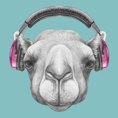 Portrait of Camel with headphones. Hand drawn illustration.