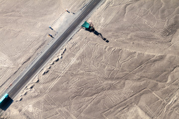 Aerial view of geoglyphs near Nazca - famous Nazca Lines, Peru. In the center, Tree figure is present, on the right side, Hands figure as well.