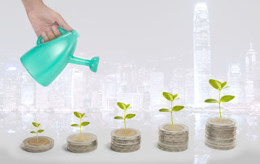 Investment growth concept with coins and plant in background of