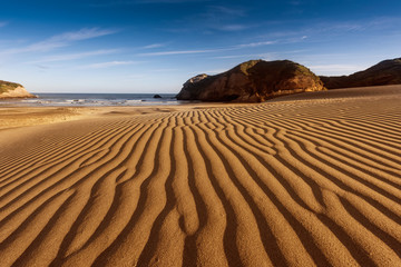 Sand dunes, Wharariki Beach, Golden Bay, Nelson District, South Island, New Zealand
