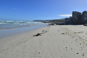 Hermanus bay beach in South Africa on the Western Cape
