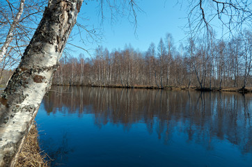 Spring flooding on the river