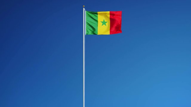 Senegal flag waving in slow motion against clean blue sky, seamlessly looped, long shot, isolated on alpha channel with black and white luminance matte, perfect for film, news, digital composition