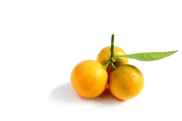Kumquat on white background