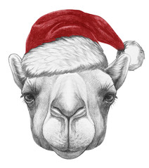 Portrait of Camel with Santa Hat. Hand drawn illustration.