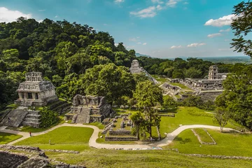 Foto op Plexiglas Oude Maya& 39 s uit Palenque, Chiapas - Mexico © adolfousier