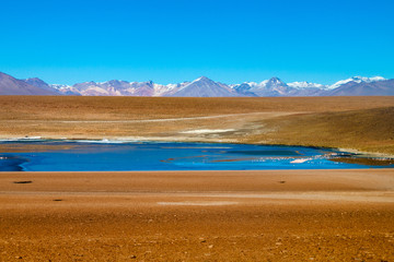 Laguna Collpa lake on bolivian Altiplano